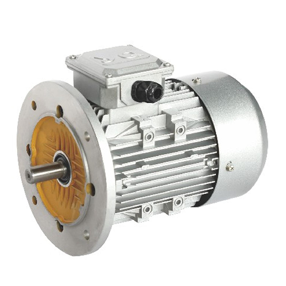 Three Phase Asynchronous Motor