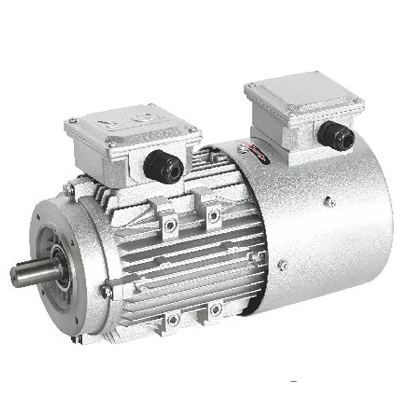 Three Phase Asynchronous Motor