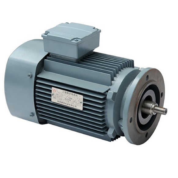 Three Phase Asynchronous Motor