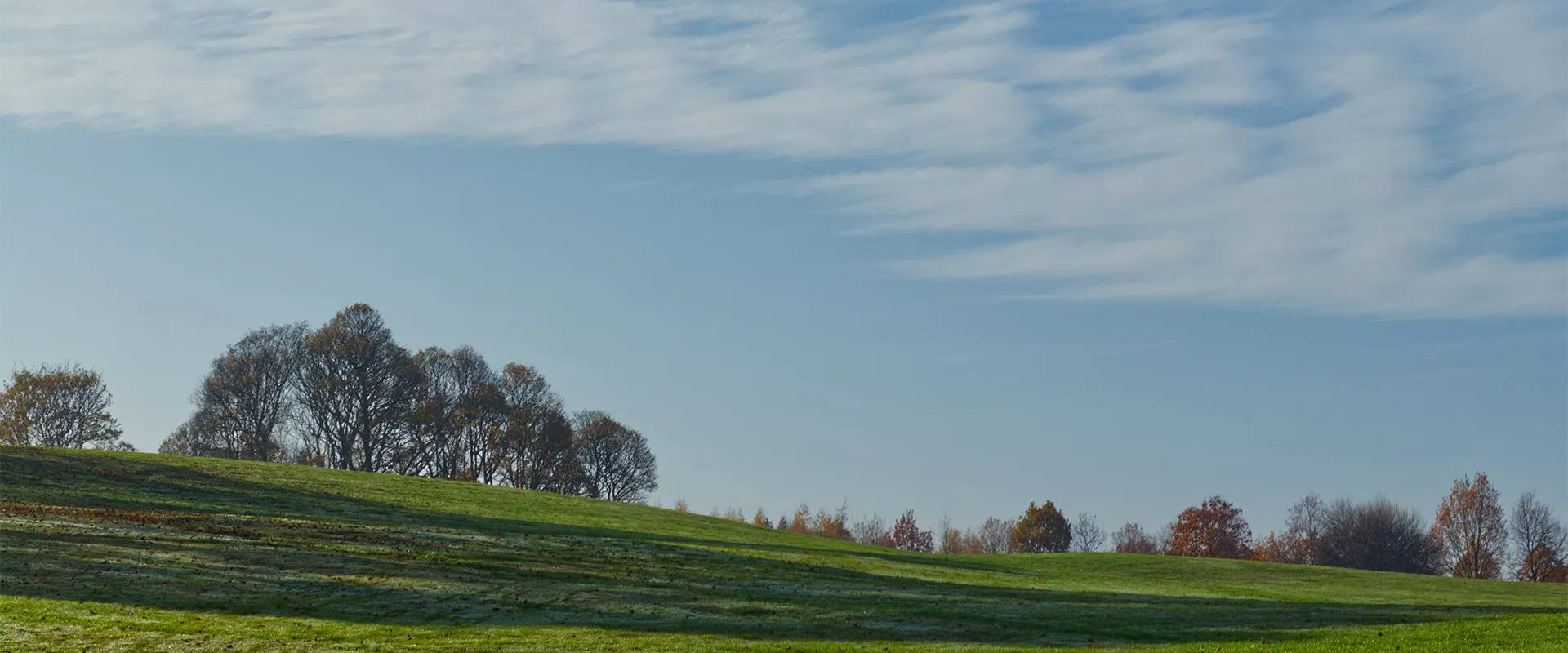 Motor Product Service