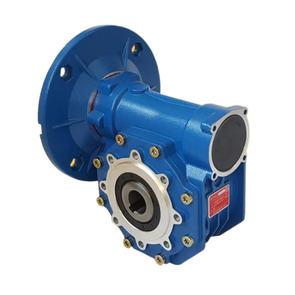 VF Worm Gear Reducer 