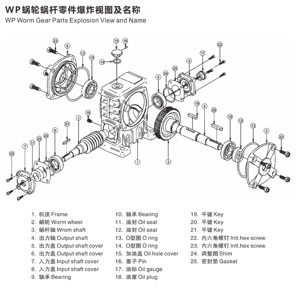 Exploded View of WP Worm Gear Reducer